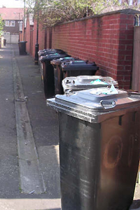 Wheelie bins in a back alley